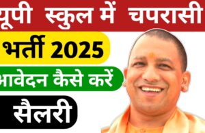 यूपी शिक्षा विभाग में चपरासी भर्ती 2025: विभाग ने जारी किया नोटिफिकेशन, जल्द करें आवेदन यूपी शिक्षा विभाग में चपरासी भर्ती 2025